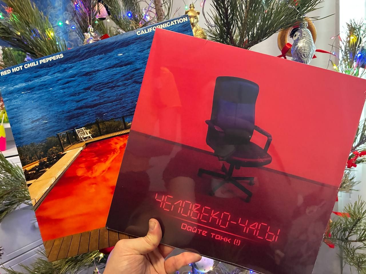 А эти пацаны лежали сегодня под елкой