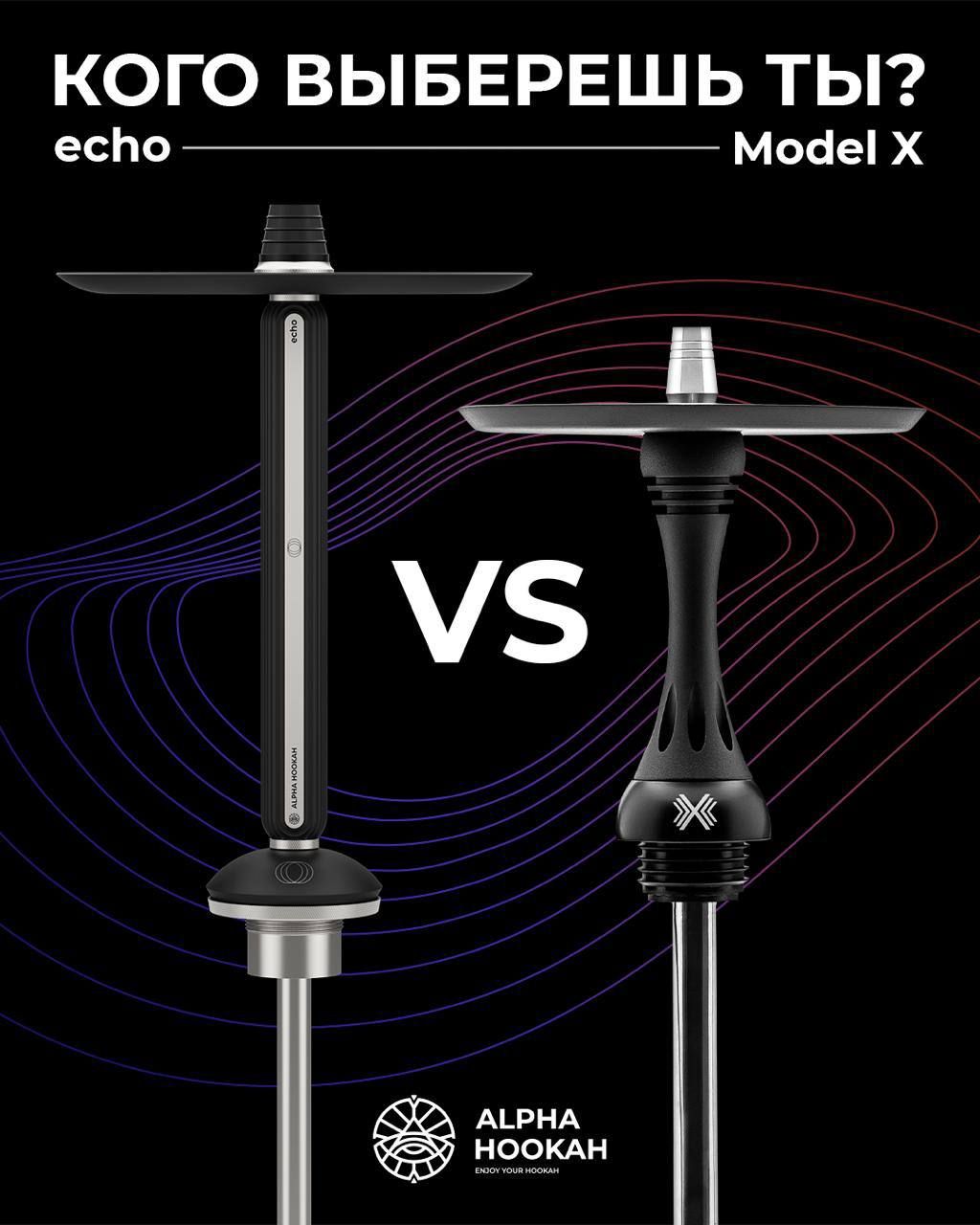 echo VS Model X — два характера, две легенды!