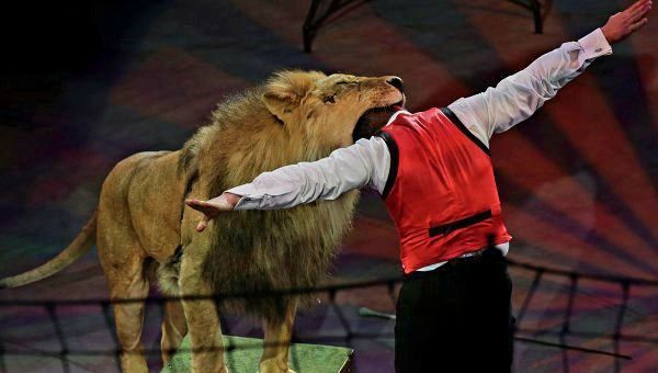 ГОСДУМА🇷🇺 ПРИНЯЛА ПОПРАВКИ, ПРЕДУСМАТРИВАЮЩИЕ ВОЗМОЖНОСТЬ ПОДТВЕРЖДЕНИЯ ВОЗРАСТА БЕЗ ПАСПОРТА — ЧЕРЕЗ МЕССЕНДЖЕР...