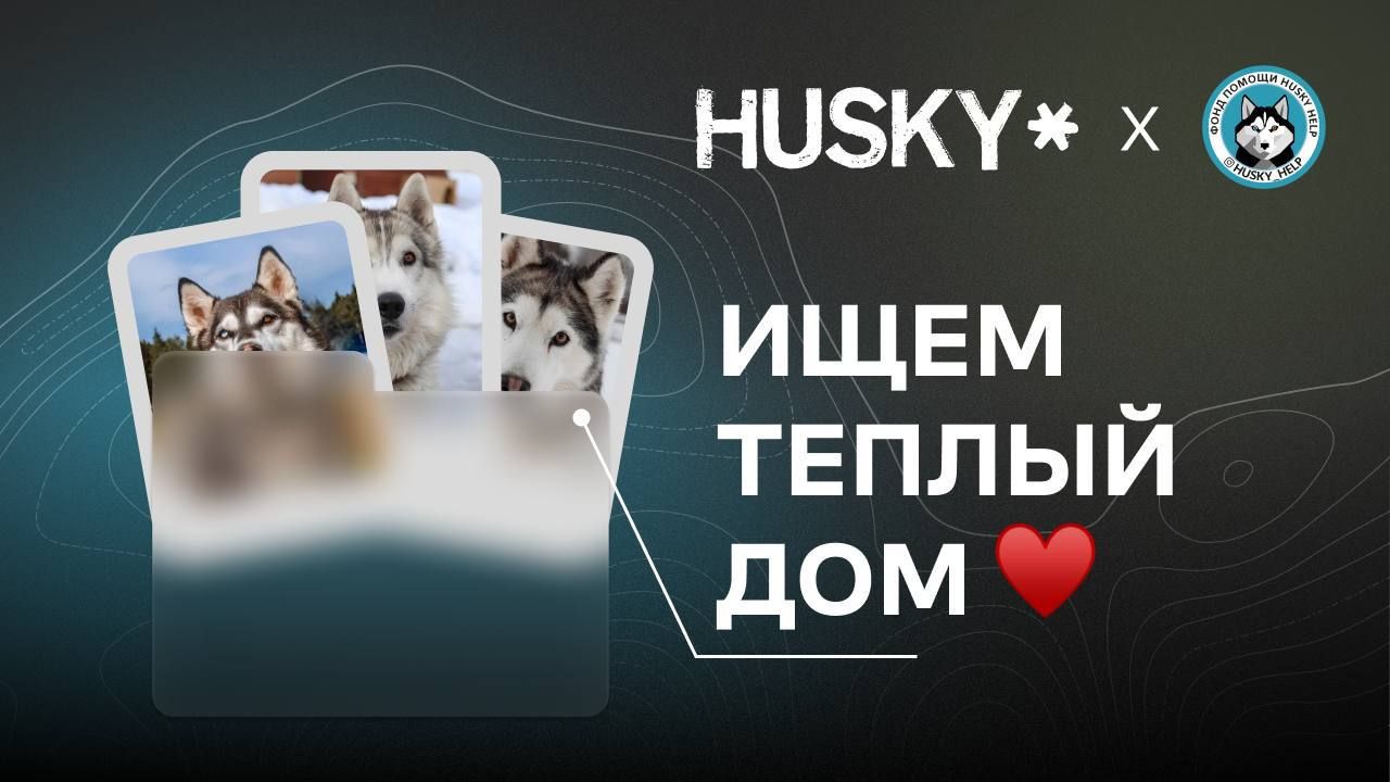 КОНКУРС ДЛЯ ЛЮБИТЕЛЕЙ ЖИВОТНЫХ