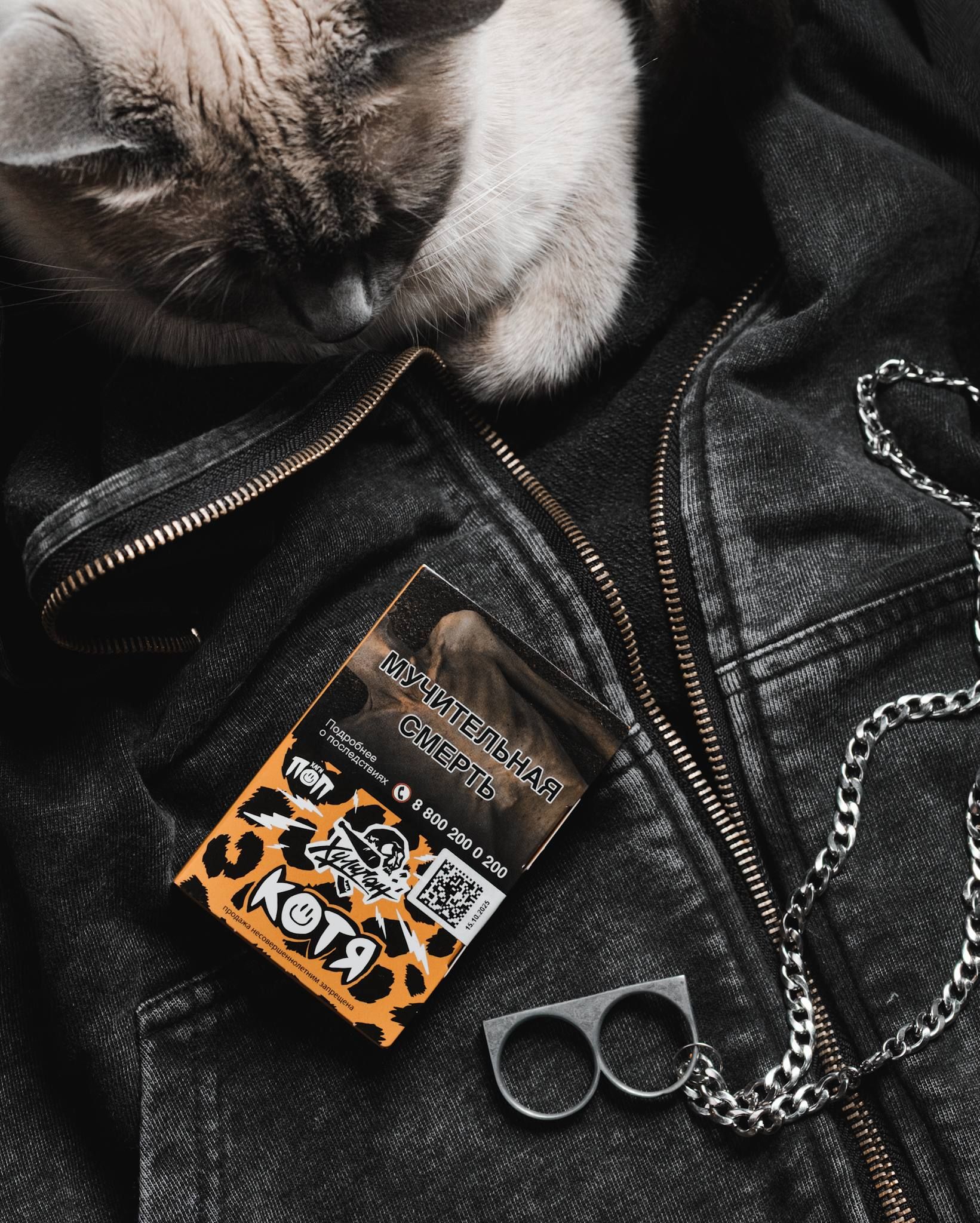 Котя + Котя = читерский пост, который наберет много реакций. 