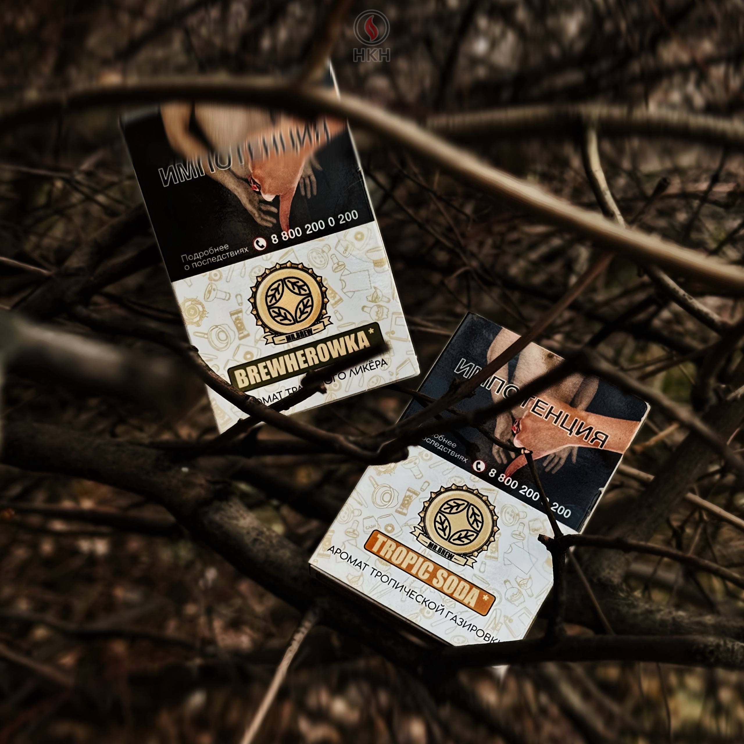 Пост из канала hkhblog MR.BREW | HOOKAH-HOUSE | Доставка и аренда кальянов MR.BREW