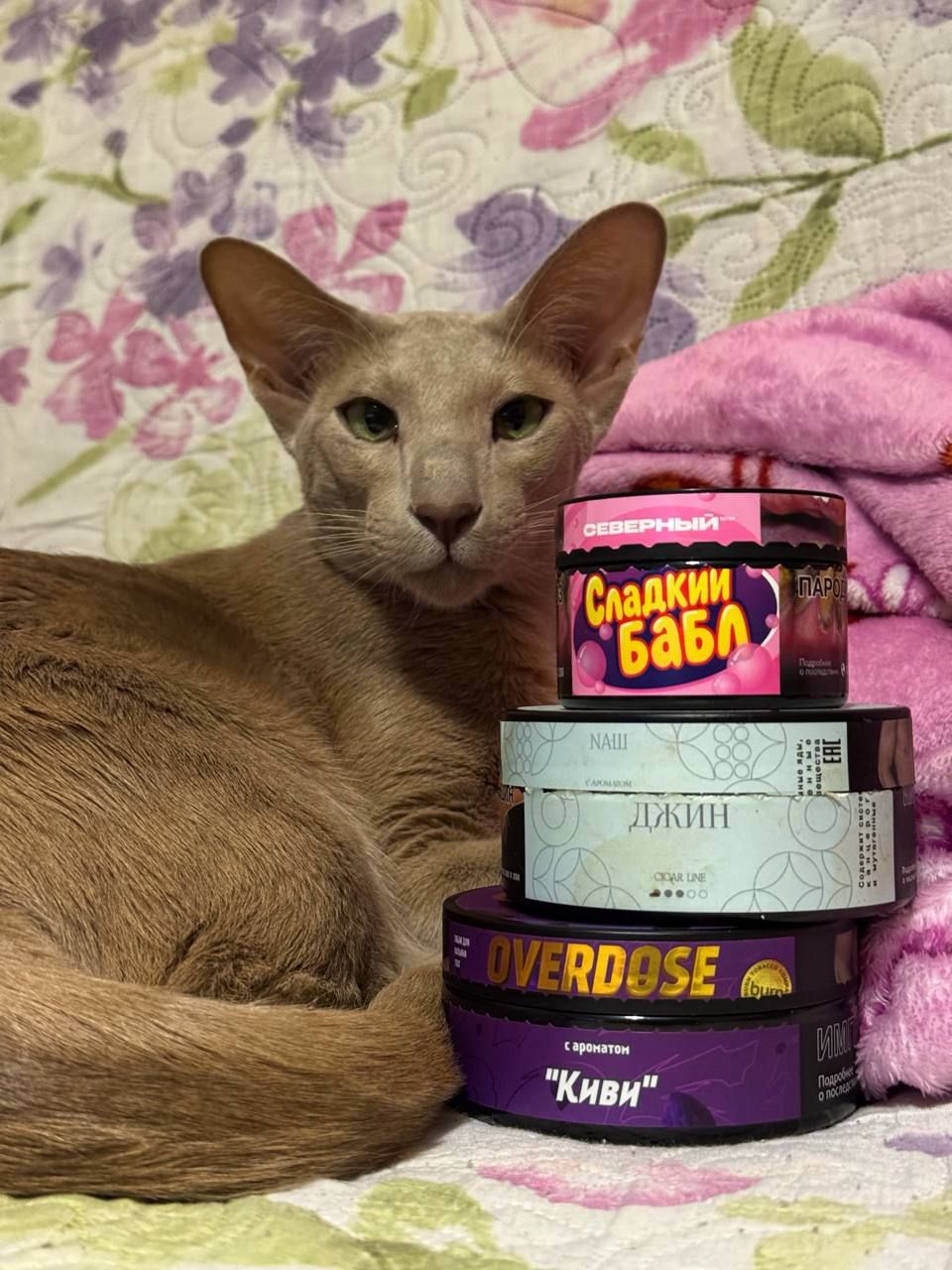 Ну шо, гоу покурим мейби?😐