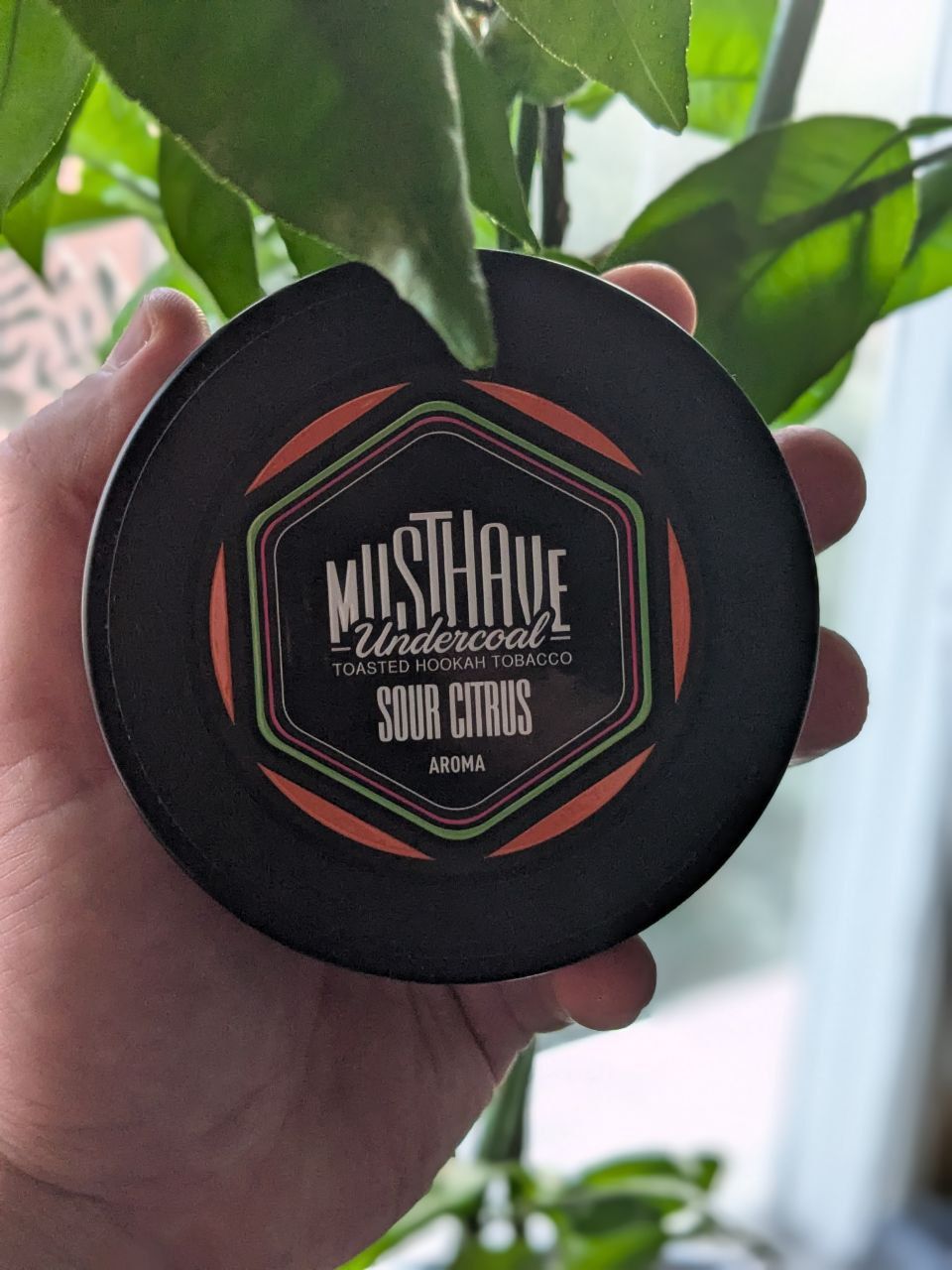 ПРОБУЕМ: SOUR CITRUS от компании MUSTHAVE 🤔