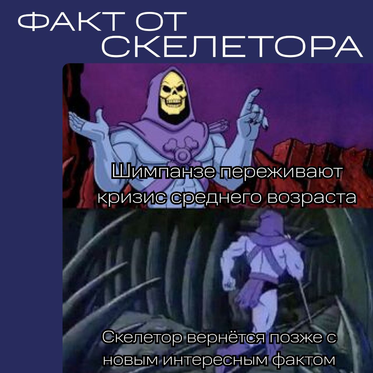 Среда, мои чуваки и чувакессы 🖖