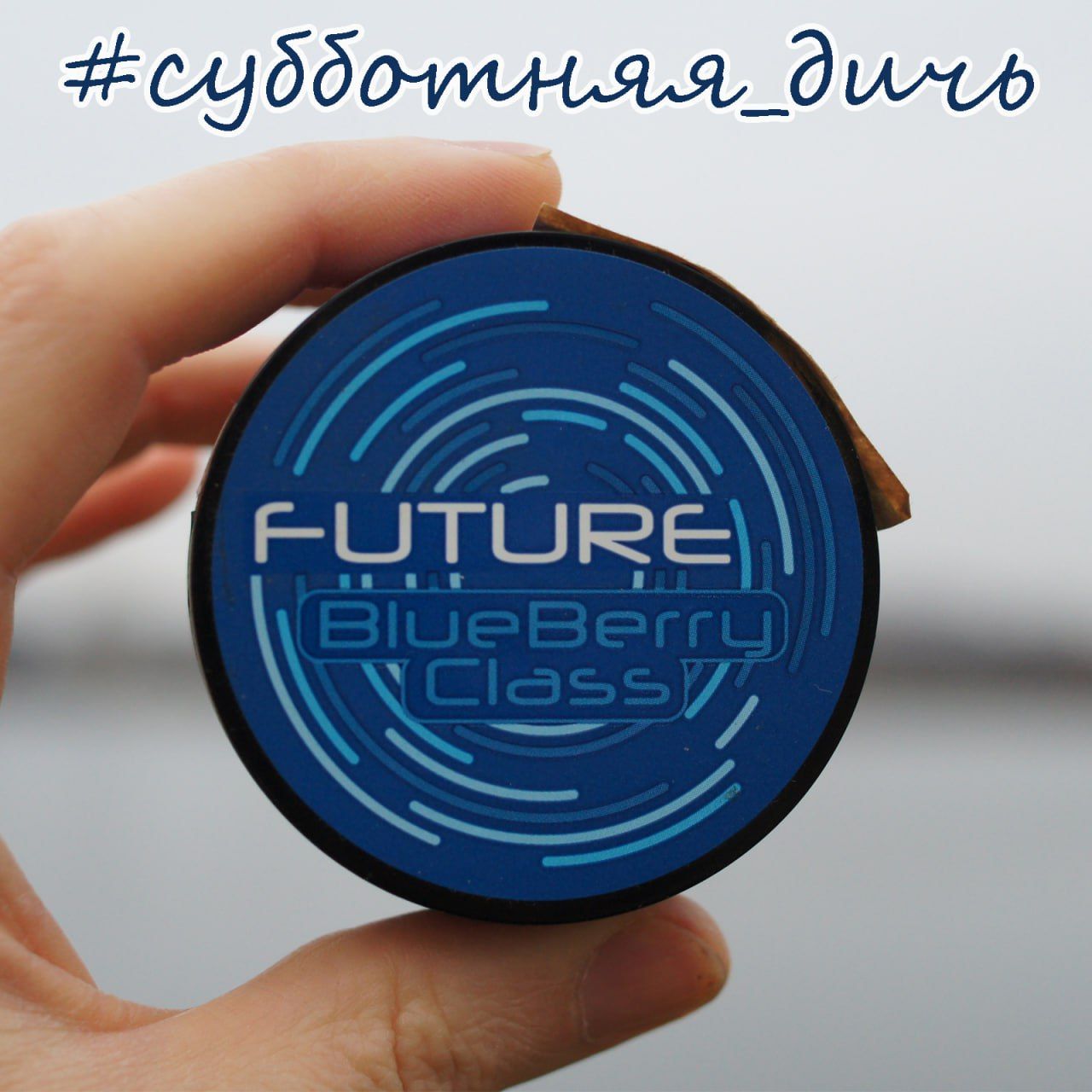 #субботняя_дичь