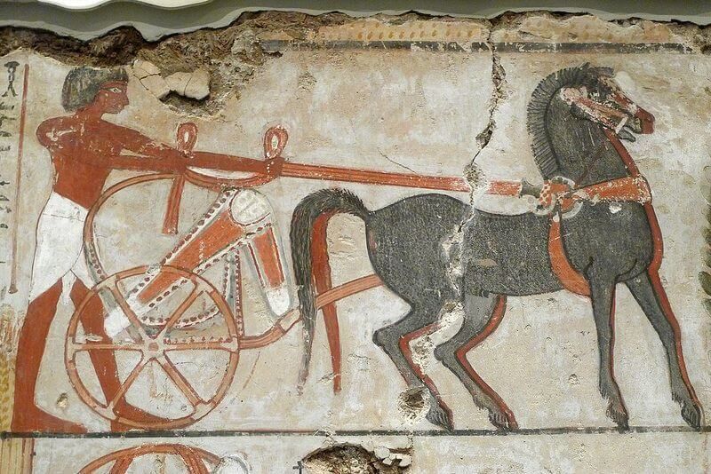 Пост из канала maklaud_shisha 🐴Встречаем 2026 год Лошади и смотрим, как менялся характер изображения этого символа... | HOOKAH-HOUSE | Доставка и аренда кальянов 🐴Встречаем 2026 год Лошади и смотрим, как менялся характер изображения этого символа...